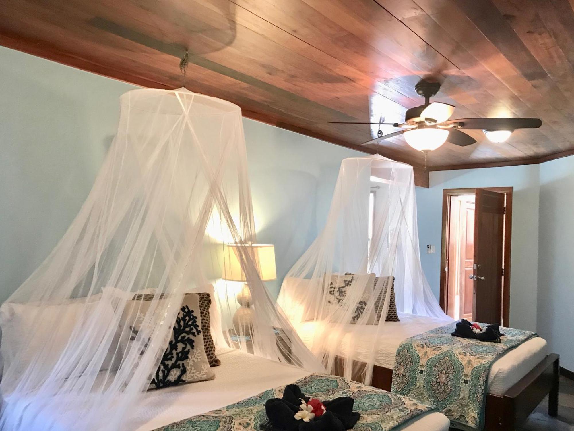 Villa Serenity 산페드로 객실 사진